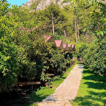 Olympos Camlik Pension Exterior foto