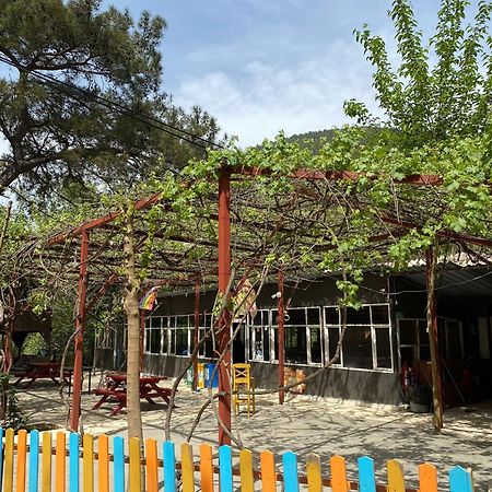 Olympos Camlik Pension Exterior foto